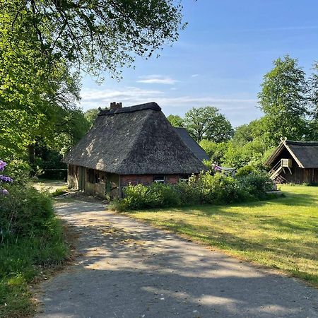비스핑엔 Heidehof Oberhaverbeck 빌라 외부 사진