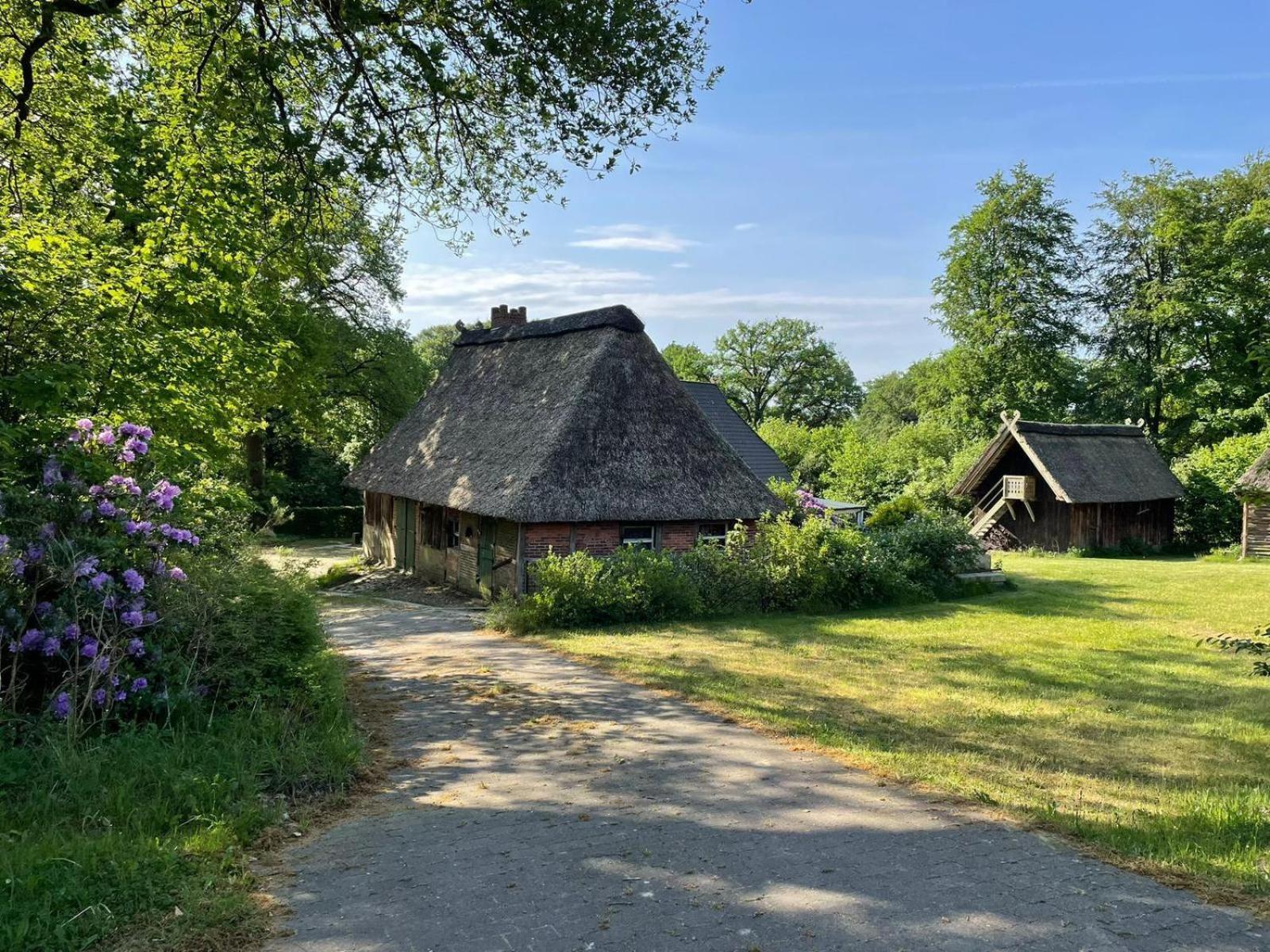 비스핑엔 Heidehof Oberhaverbeck 빌라 외부 사진